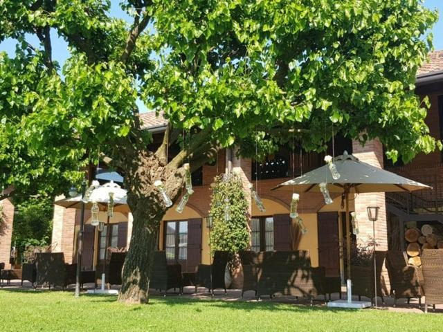 Agriturismo La Camilla Конкореццо Екстер'єр фото